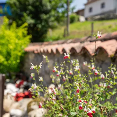 Шале Casa La Fuente Vibano